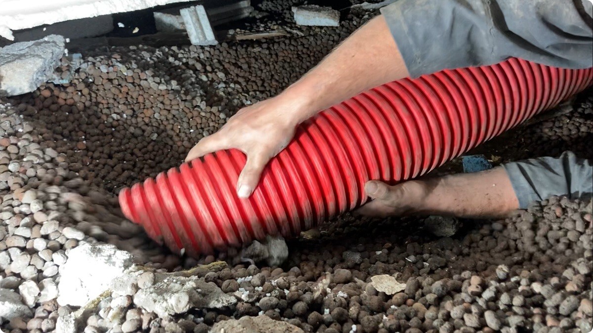 Afbeelding1 Afbeelding1